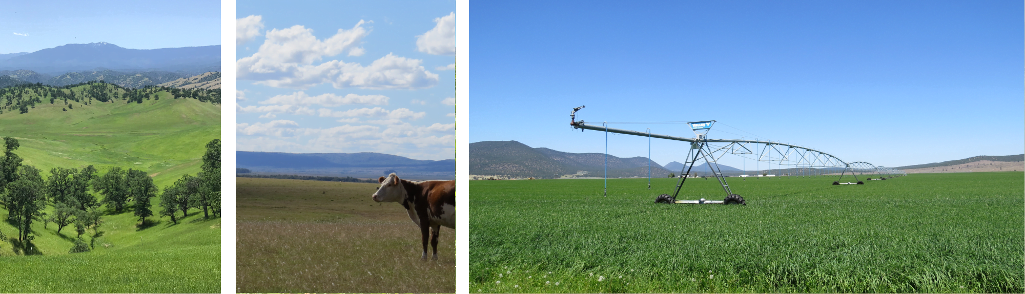 collage of 3 photos of different land types